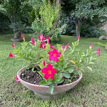 Casa Stefania شقة *