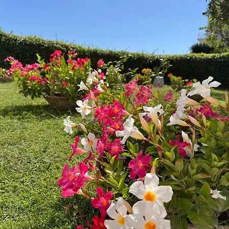 Casa Stefania Lejlighed Capri