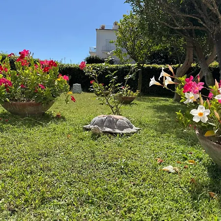 Апартаменты Casa Stefania *