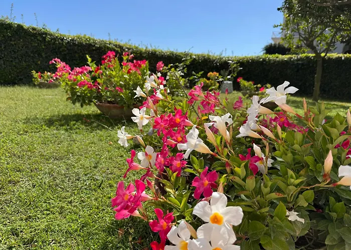 Casa Stefania Daire Capri
