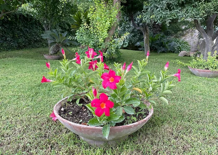 Casa Stefania Appartement *